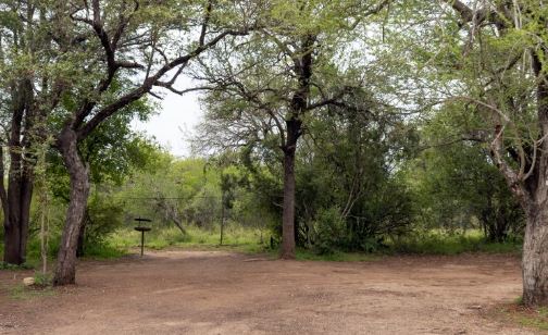 Camping du Maroela Satellite Camp dand le parc Kruger